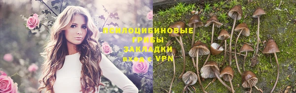МДПВ Абдулино