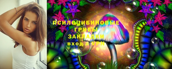 а пвп мука Абаза