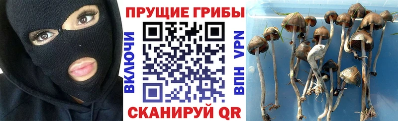 Галлюциногенные грибы GOLDEN TEACHER  Топки 